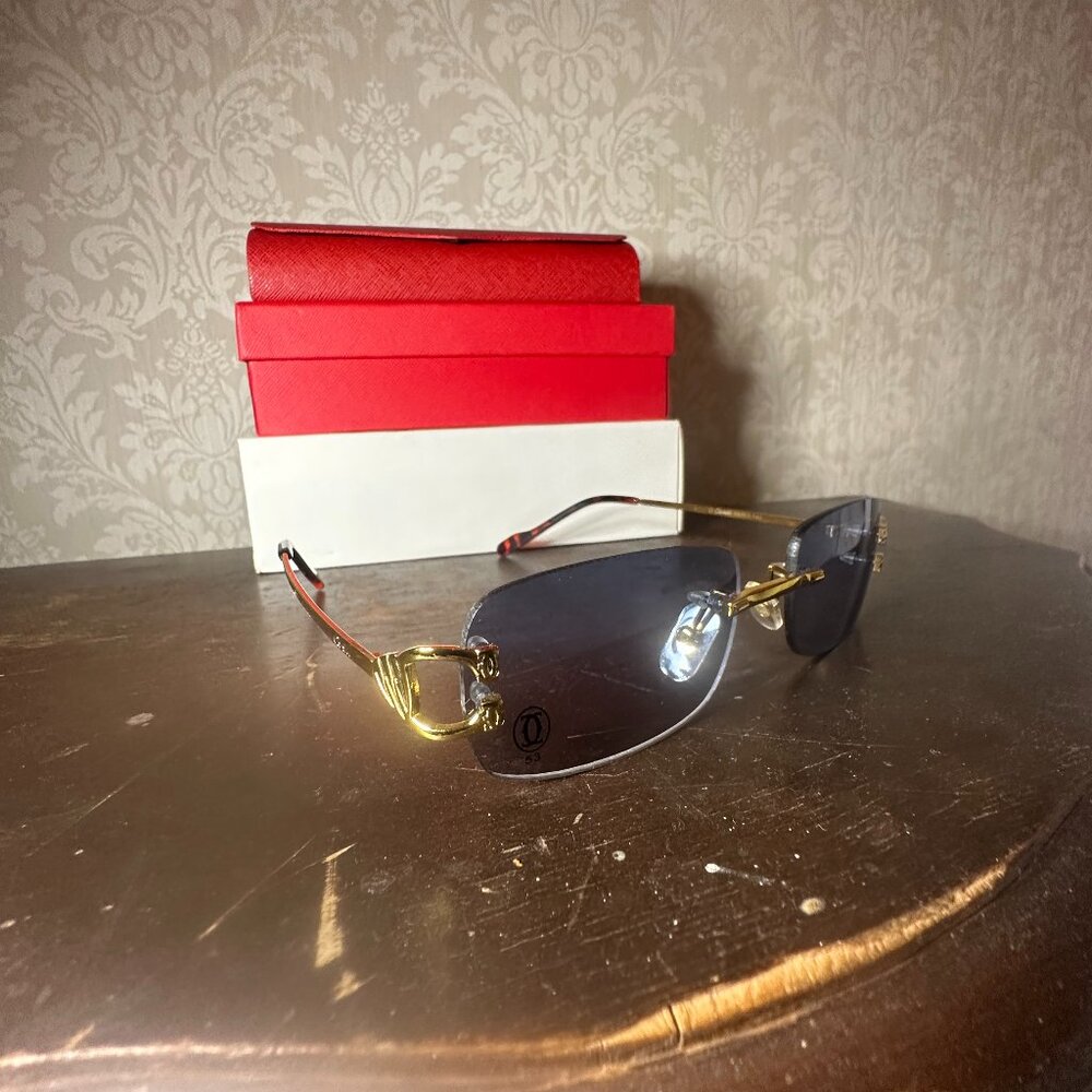 Cartier Glasses model c wire frames dark lens